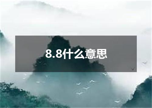 8.8什么意思