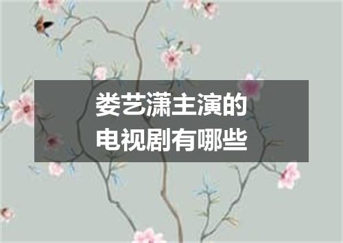 娄艺潇主演的电视剧有哪些