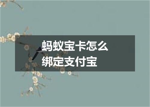 蚂蚁宝卡怎么绑定支付宝