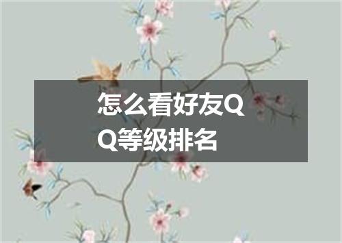 怎么看好友QQ等级排名