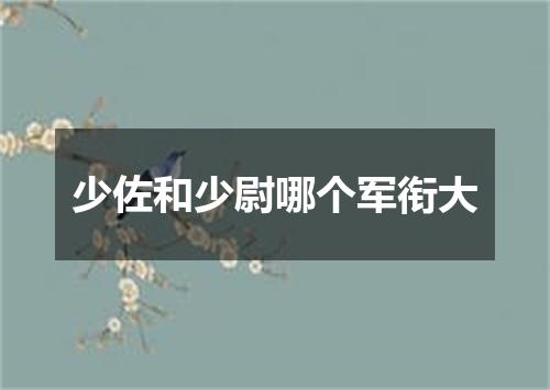 少佐和少尉哪个军衔大