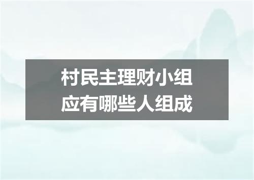 村民主理财小组应有哪些人组成