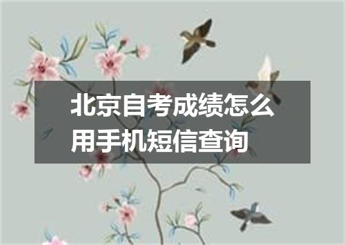 北京自考成绩怎么用手机短信查询