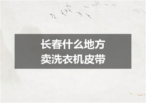 长春什么地方卖洗衣机皮带