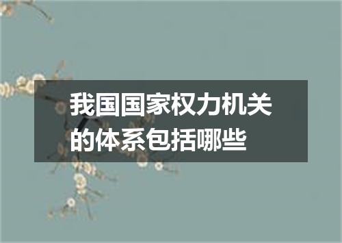 我国国家权力机关的体系包括哪些