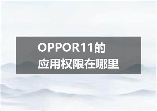 OPPOR11的应用权限在哪里