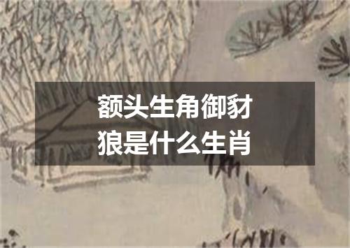 额头生角御豺狼是什么生肖