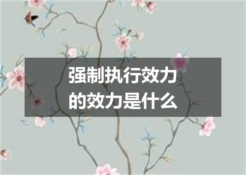 强制执行效力的效力是什么
