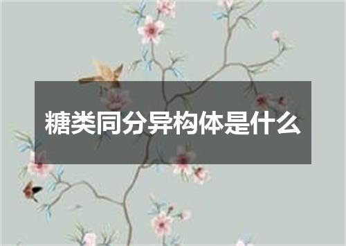 糖类同分异构体是什么