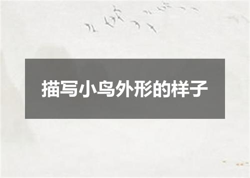 描写小鸟外形的样子