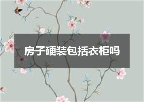 房子硬装包括衣柜吗