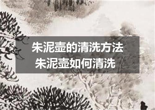 朱泥壶的清洗方法 朱泥壶如何清洗