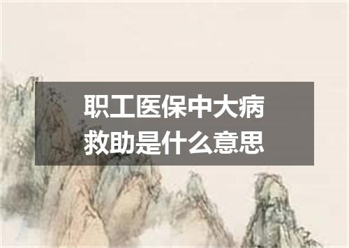 职工医保中大病救助是什么意思