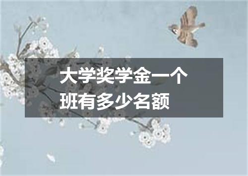 大学奖学金一个班有多少名额