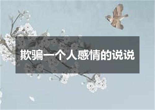 欺骗一个人感情的说说