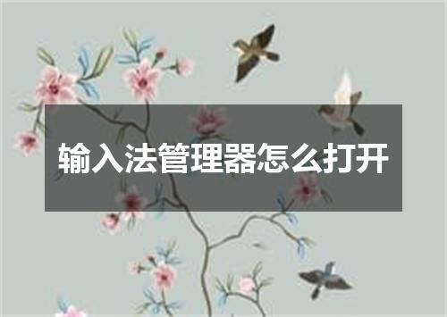 输入法管理器怎么打开