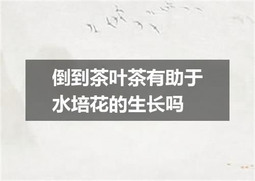 倒到茶叶茶有助于水培花的生长吗