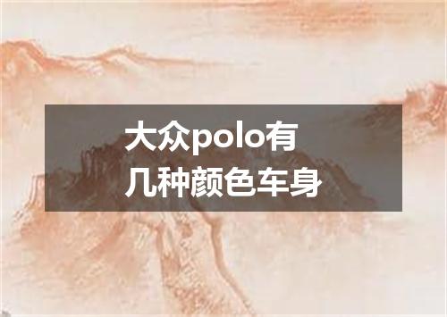 大众polo有几种颜色车身
