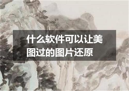 什么软件可以让美图过的图片还原