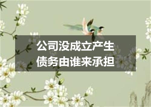 公司没成立产生债务由谁来承担
