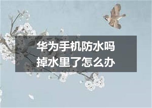华为手机防水吗掉水里了怎么办