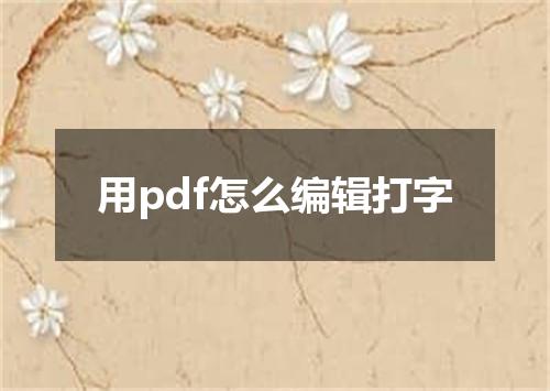 用pdf怎么编辑打字