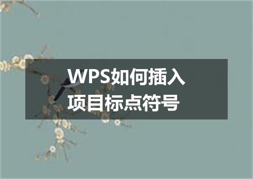 WPS如何插入项目标点符号