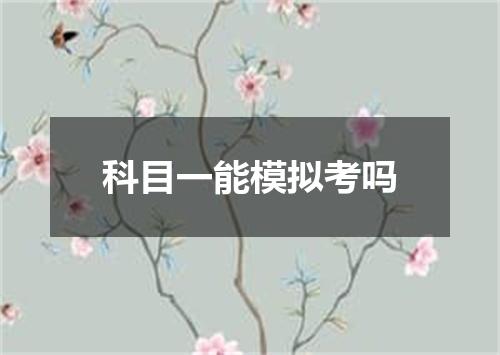 科目一能模拟考吗