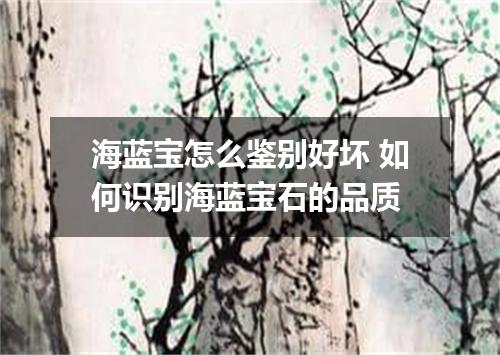 海蓝宝怎么鉴别好坏 如何识别海蓝宝石的品质