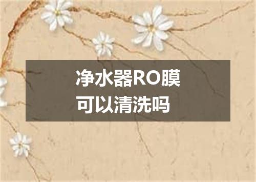 净水器RO膜可以清洗吗