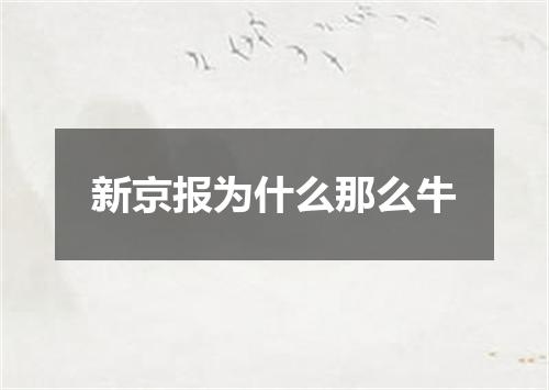 新京报为什么那么牛