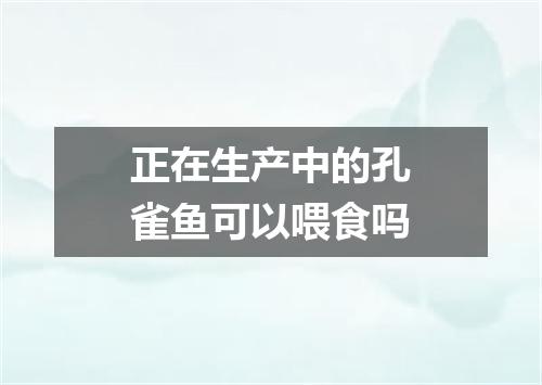 正在生产中的孔雀鱼可以喂食吗
