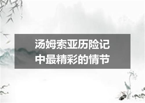 汤姆索亚历险记中最精彩的情节