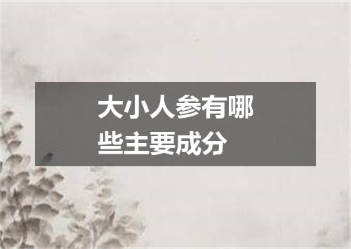 大小人参有哪些主要成分