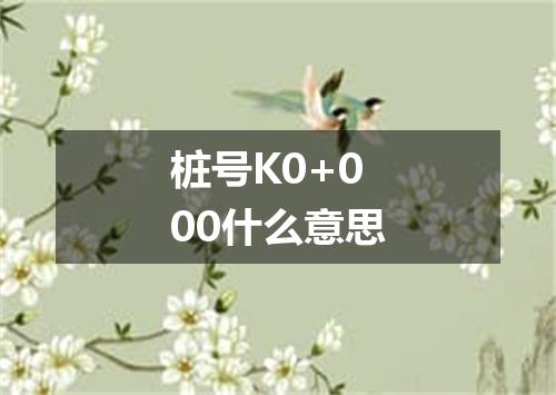 桩号K0+000什么意思