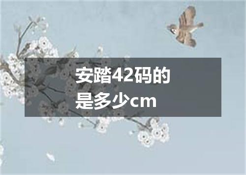安踏42码的是多少cm