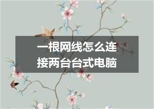 一根网线怎么连接两台台式电脑