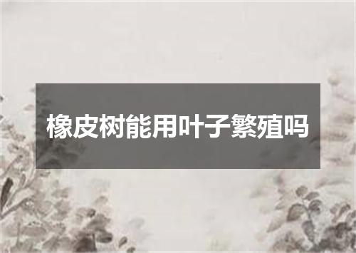 橡皮树能用叶子繁殖吗