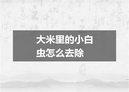 大米里的小白虫怎么去除