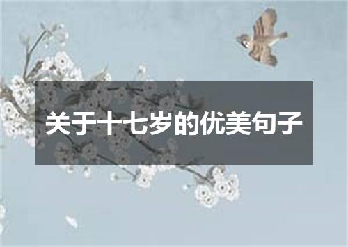 关于十七岁的优美句子