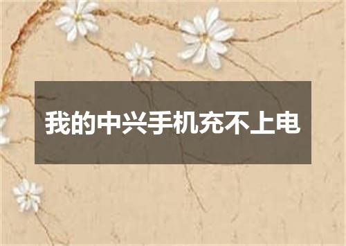 我的中兴手机充不上电