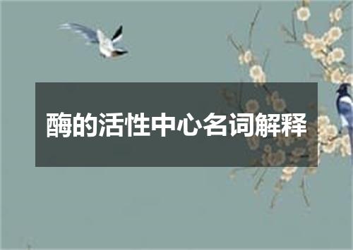 酶的活性中心名词解释