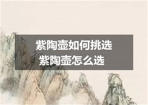 紫陶壶如何挑选 紫陶壶怎么选