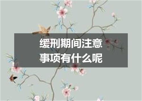缓刑期间注意事项有什么呢