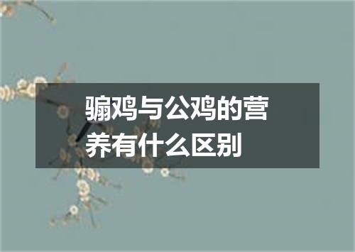 骟鸡与公鸡的营养有什么区别