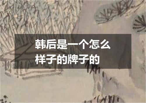 韩后是一个怎么样子的牌子的