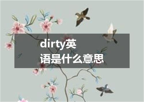dirty英语是什么意思