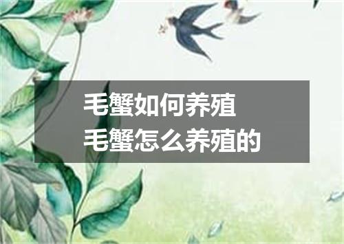 毛蟹如何养殖 毛蟹怎么养殖的