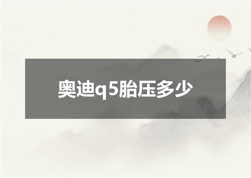奥迪q5胎压多少