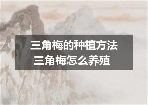 三角梅的种植方法 三角梅怎么养殖